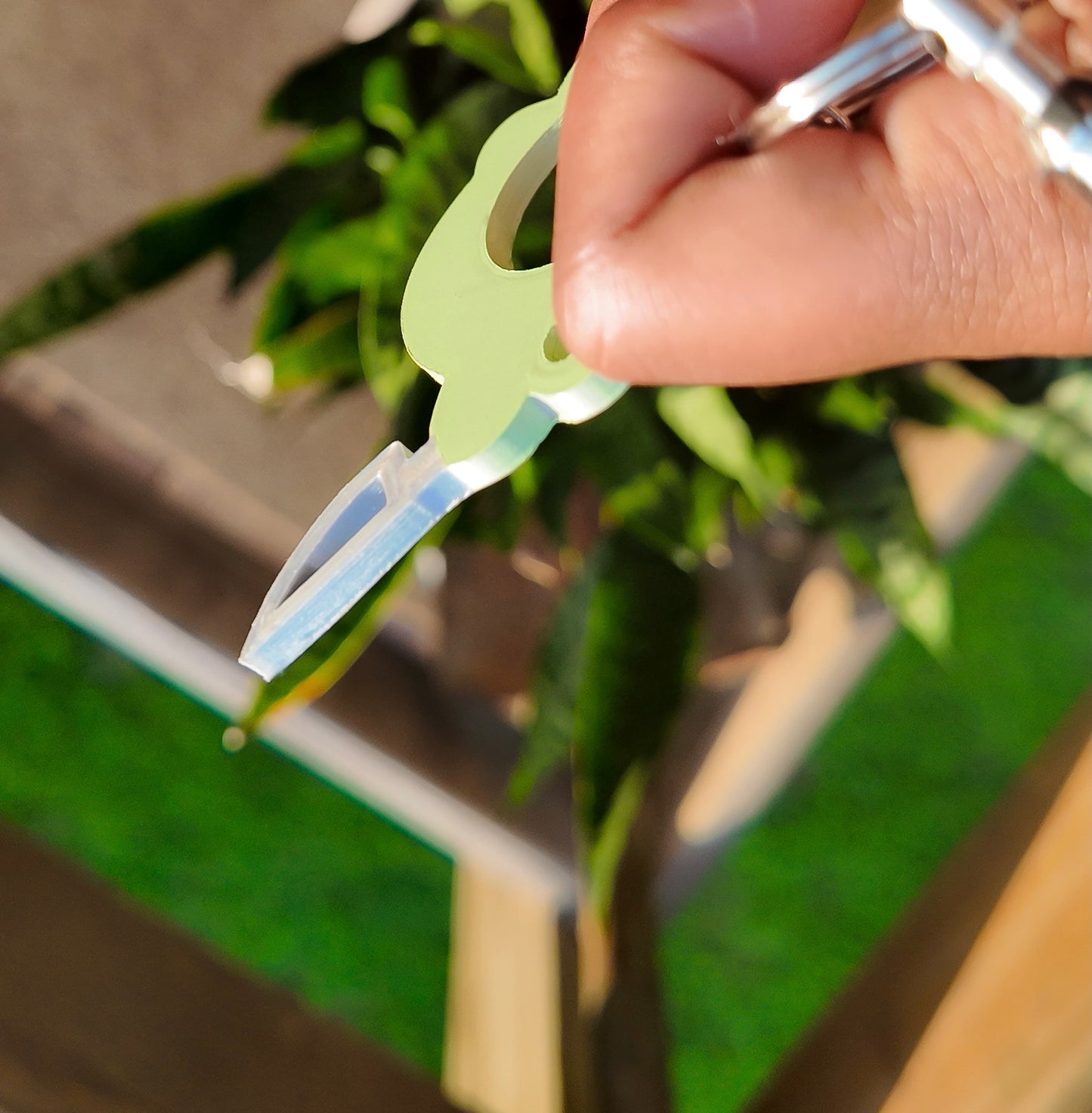 froggy self defense keychain